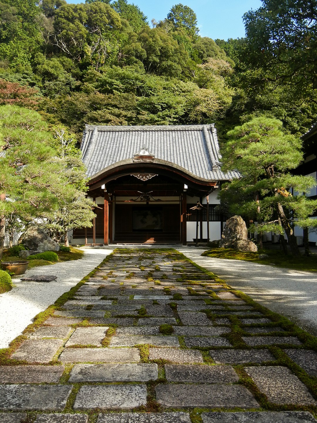 Sustainable Travel Practices